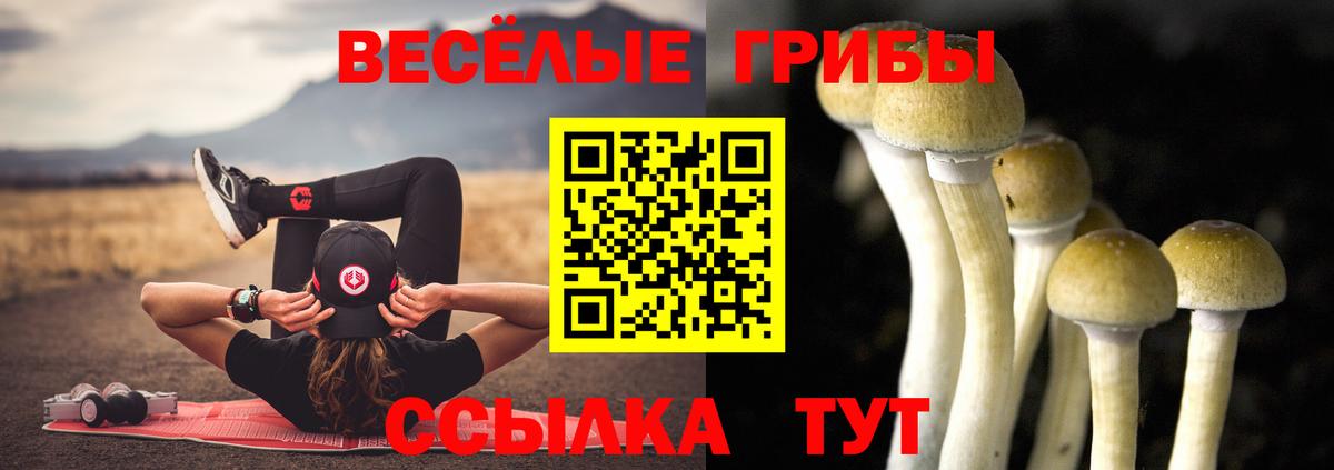 Галлюциногенные грибы GOLDEN TEACHER  купить наркотики цена  Ижевск  Вход с VPN 